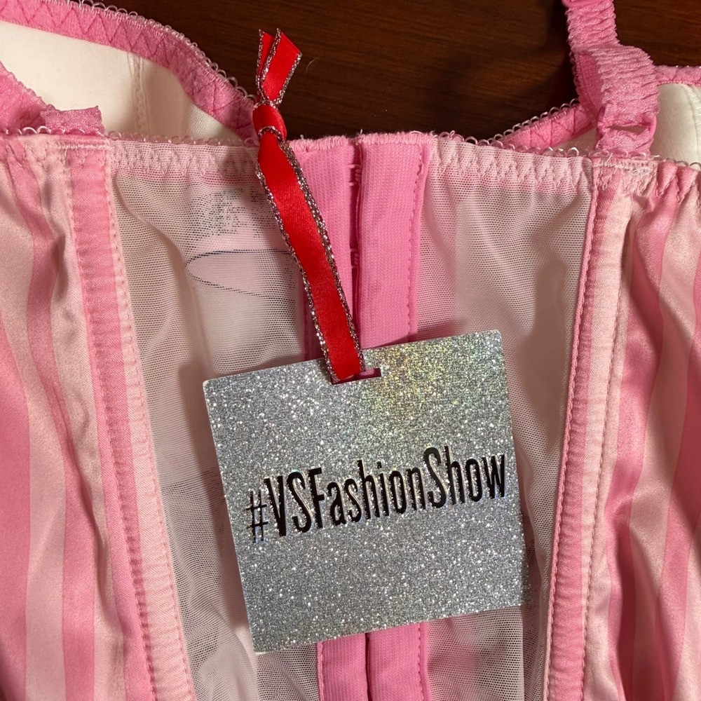 NWT Victoria's Secret 2015 Fashion Show 34C Pink Stripe Lace Corset Bustier Rare - Picture 10 of 13